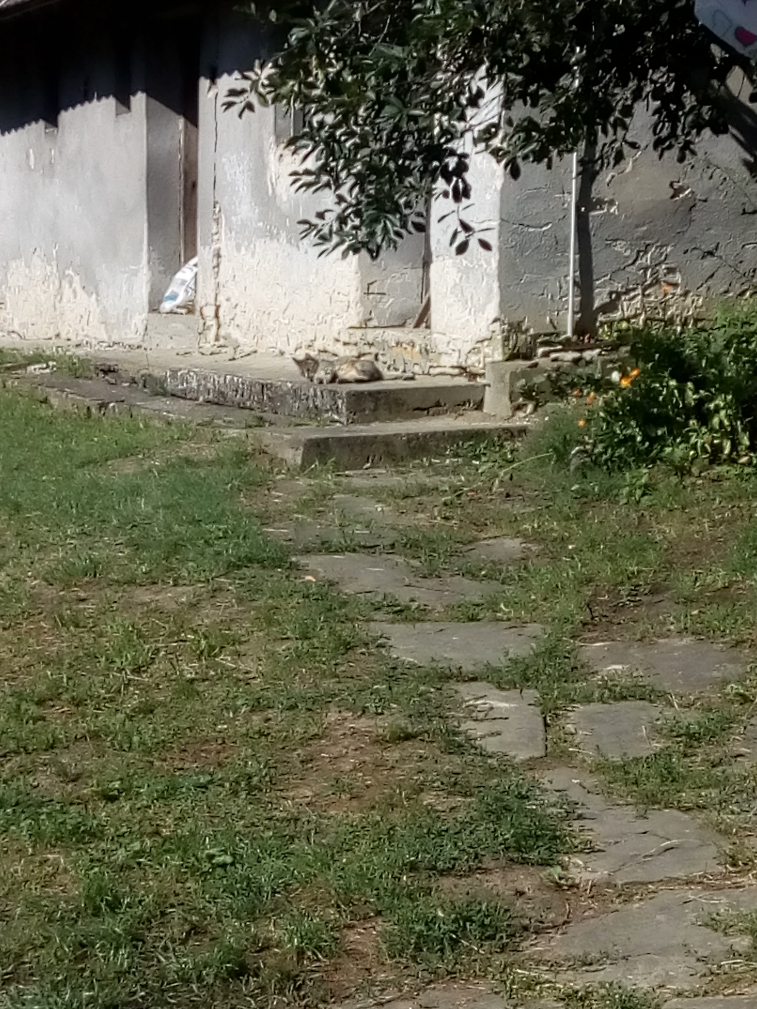 IMG_20180725_085858